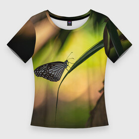 Женская футболка 3D Slim с принтом Ночной мотылек в Тюмени,  |  | бабочка | вечер | закат | красота | крылья | мотылек | ночная бабочка | ночной мотылек | ночь | природа | свет | сияние | солнце