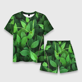 Мужской костюм с шортами 3D с принтом Вьюнок в Тюмени,  |  | ветки | вьюнок | для охоты | для прогулок | для путешествий | для рыбалки | зеленый | зелень | камуфляж | лето | лимонник | листва | листья | лоза | природа | природный | растения | текстура | экология