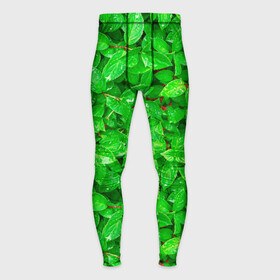 Мужские тайтсы 3D с принтом Зелёные листья  текстура в Тюмени,  |  | зелёные | лето | листья | паттерн | текстура