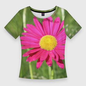 Женская футболка 3D Slim с принтом Гадай на розовой ромашке в Тюмени,  |  | декоративная | декоративный | лепесток | лето | природа | растение | розовая | розовый | ромашка | сад | садовая | цветение | цветовод | цветоводство | цветок | цветы