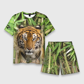 Мужской костюм с шортами 3D с принтом Матёрый тигр в зарослях бамбука в Тюмени,  |  | eyes | jungle | moustache | muzzle | nose | skin | tiger | глаза | джунгли | нос | тигр | усы