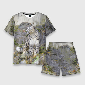 Мужской костюм с шортами 3D с принтом Снежный барс среди скал в Тюмени,  |  | Тематика изображения на принте: mountains | muzzle | nature | paws | rocks | snow leopard | tail | барс | горы | камни | лапы | природа | скалы | хвост