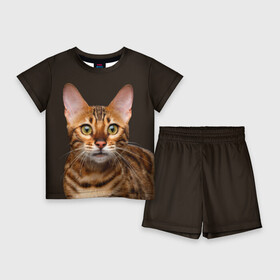 Детский костюм с шортами 3D с принтом Молодая бенгальская кошка в Тюмени,  |  | bengal | cat | cats | kitty | бенгал | бенгальская | бенгальская кошка | бенгальские | бенгальский | кот | котёнок | котята | кошка | леопард | леопардовая | леопардовый