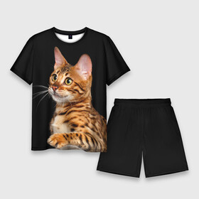 Мужской костюм с шортами 3D с принтом Бенгальский котёнок на чёрном фоне в Тюмени,  |  | bengal | cat | cats | kitty | бенгал | бенгальская | бенгальская кошка | бенгальские | бенгальский | кот | котёнок | котята | кошка | леопард | леопардовая | леопардовый