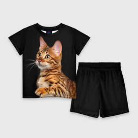 Детский костюм с шортами 3D с принтом Бенгальский котёнок на чёрном фоне в Тюмени,  |  | bengal | cat | cats | kitty | бенгал | бенгальская | бенгальская кошка | бенгальские | бенгальский | кот | котёнок | котята | кошка | леопард | леопардовая | леопардовый