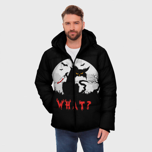 Мужская зимняя куртка 3D What Cat (Halloween) фото