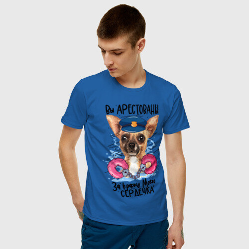 Мужская футболка хлопок Арестуй меня полностью фото