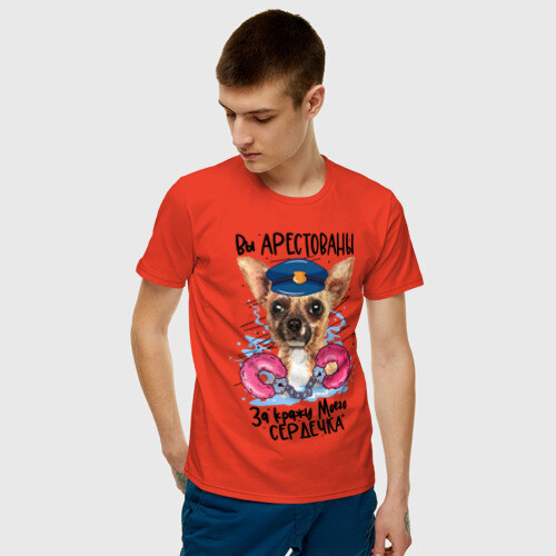 Мужская футболка хлопок Арестуй меня полностью фото