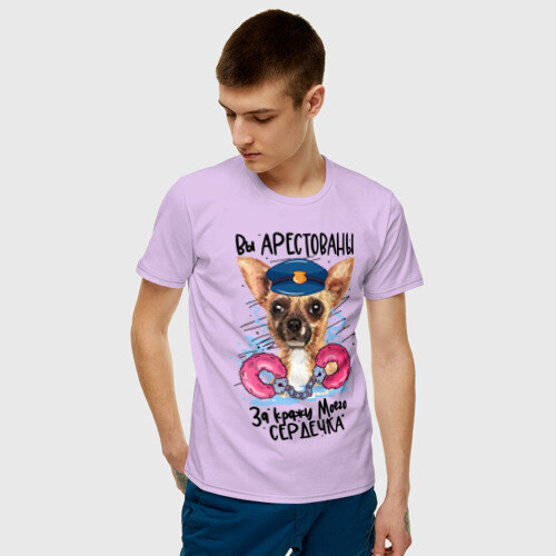 Мужская футболка хлопок Арестуй меня полностью фото