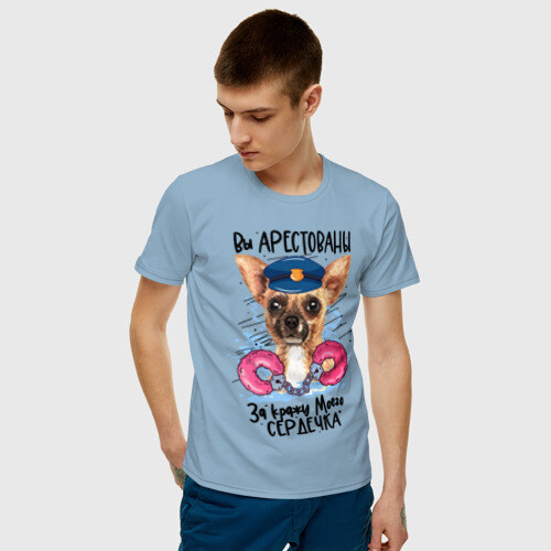 Мужская футболка хлопок Арестуй меня полностью фото