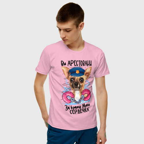 Мужская футболка хлопок Арестуй меня полностью фото