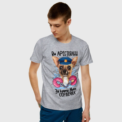 Мужская футболка хлопок Арестуй меня полностью фото