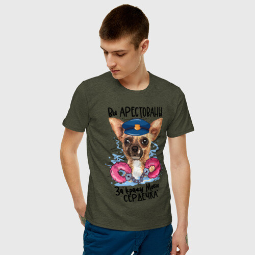 Мужская футболка хлопок Арестуй меня полностью фото