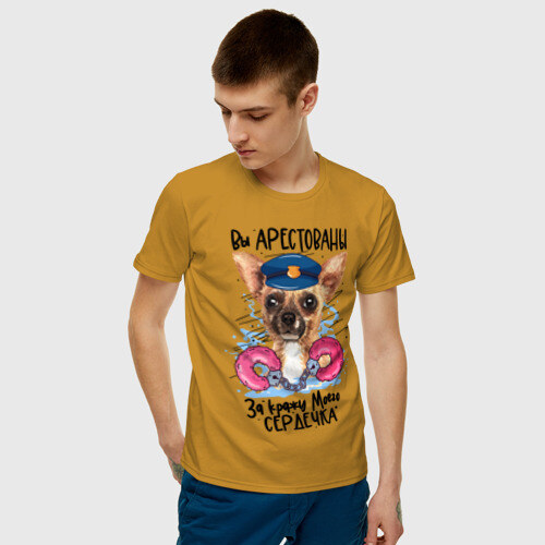 Мужская футболка хлопок Арестуй меня полностью фото