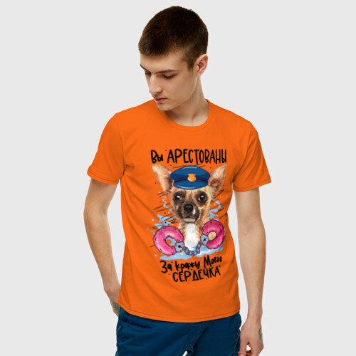 Мужская футболка хлопок Арестуй меня полностью фото