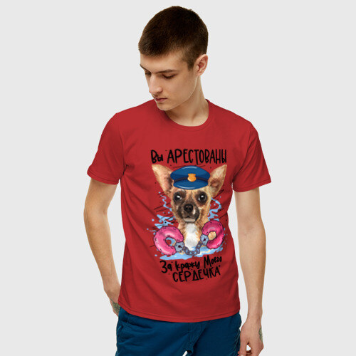 Мужская футболка хлопок Арестуй меня полностью фото