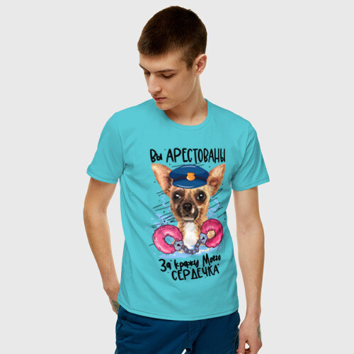 Мужская футболка хлопок Арестуй меня полностью фото