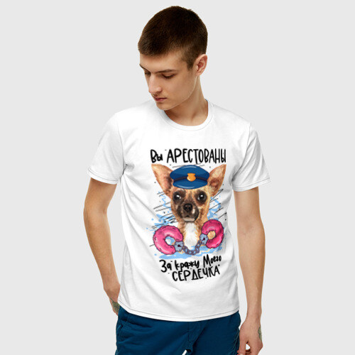 Мужская футболка хлопок Арестуй меня полностью фото