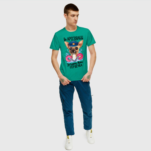 Мужская футболка хлопок Арестуй меня полностью фото