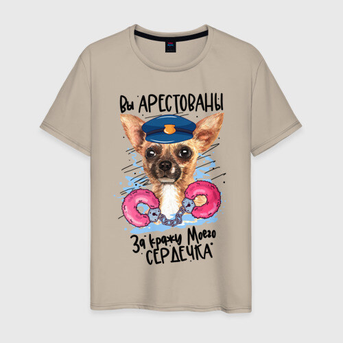 Мужская футболка хлопок Арестуй меня полностью фото