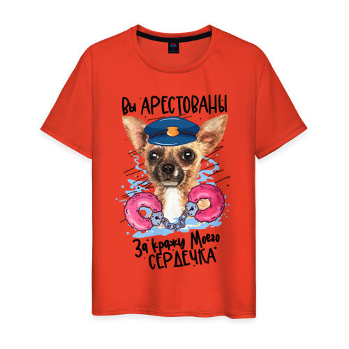 Мужская футболка хлопок Арестуй меня полностью фото