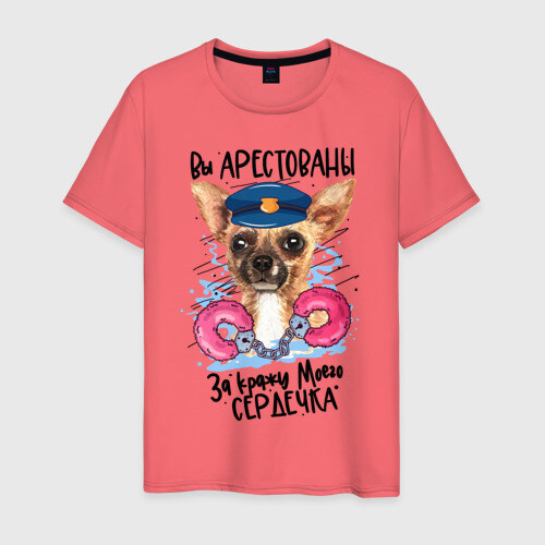 Мужская футболка хлопок Арестуй меня полностью фото