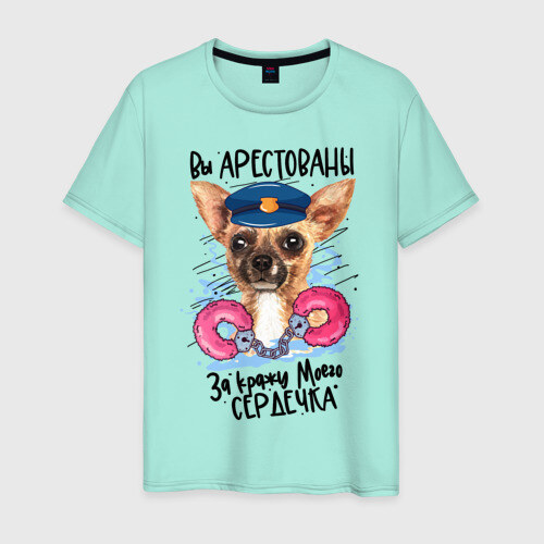 Мужская футболка хлопок Арестуй меня полностью фото