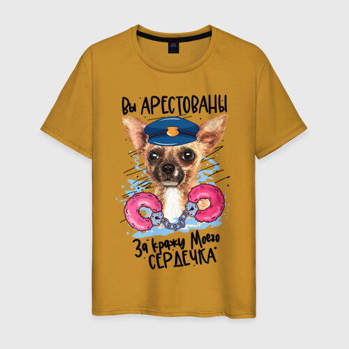 Мужская футболка хлопок Арестуй меня полностью фото