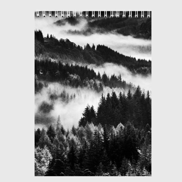 Скетчбук ТУМАННЫЙ ЛЕС  МРАЧНЫЙ ЛЕС фото